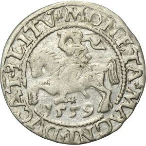 Sigismund II August, 1/2 Groschen Vilnius 1559 - L/LITV