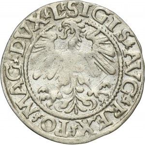 Sigismund II August, 1/2 Groschen Vilnius 1559 - L/LITV