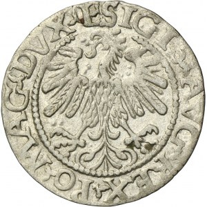 Sigismund II August, 1/2 Groschen Vilnius 1559 - L/LITV