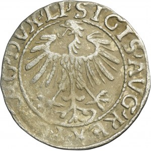 Sigismund II August, 1/2 Groschen Vilnius 1557 - LI/LITVA