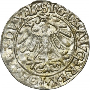 Sigismund II August, 1/2 Groschen Vilnius 1558 - L/LITVA