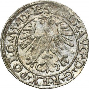 Sigismund II August, 1/2 Groschen Vilnius 1564 - L/LITV