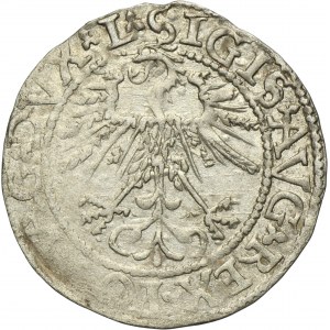 Sigismund II August, 1/2 Groschen Vilnius 1562 - L/LITV