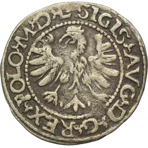 Sigismund II August, 1/2 Groschen Tykocin 1566 - RARE