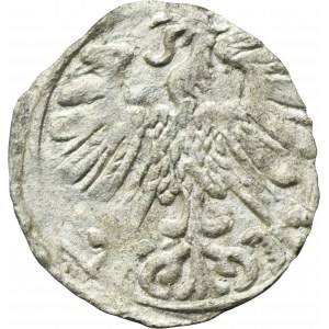 Sigismund II August, Denarius Vilnius 1558