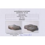 Kievan Rus, Kiev type Grivna 11th-13th century - certificate of authenticity