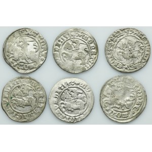 Lot, Alexander Jagiellon and Sigismund I the Old, 1/2 Groschen Vilnius (6 pcs.)