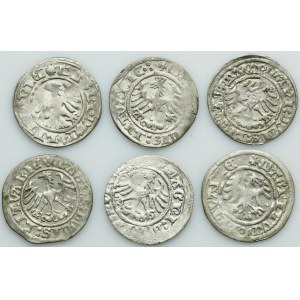 Lot, Alexander Jagiellon and Sigismund I the Old, 1/2 Groschen Vilnius (6 pcs.)