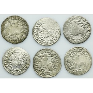 Lot, Alexander Jagiellon and Sigismund I the Old, 1/2 Groschen Vilnius (6 pcs.)