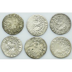 Lot, Alexander Jagiellon and Sigismund I the Old, 1/2 Groschen Vilnius (6 pcs.)