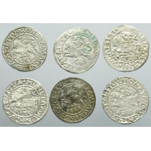 Lot, Sigismund II August, 1/2 Groschen Vilnius (6 pcs.)