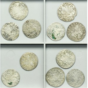 Lot, Alexander Jagiellon and Sigismund I the Old, 1/2 Groschen Vilnius (11 pcs.)