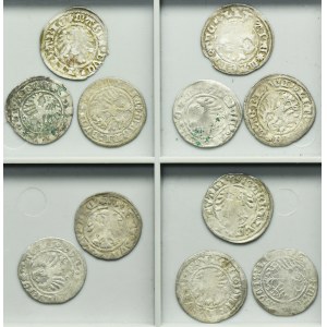 Lot, Alexander Jagiellon and Sigismund I the Old, 1/2 Groschen Vilnius (11 pcs.)