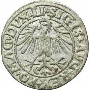 Sigismund II August, 1/2 Groschen Vilnius 1549 - LI/LITVA
