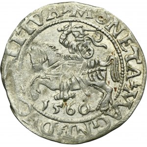 Sigismund II August, 1/2 Groschen Vilnius 1560 - L/LITVA