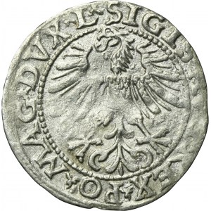 Sigismund II August, 1/2 Groschen Vilnius 1563 - L/LITV