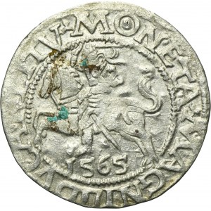Sigismund II August, 1/2 Groschen Vilnius 1565 - L/LITV