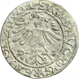 Sigismund II August, 1/2 Groschen Vilnius 1565 - L/LITV