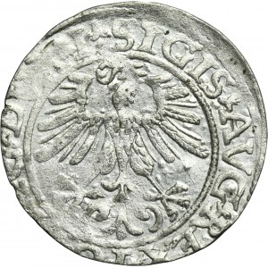 Sigismund II August, 1/2 Groschen Vilnius 1561 - L/LITVA