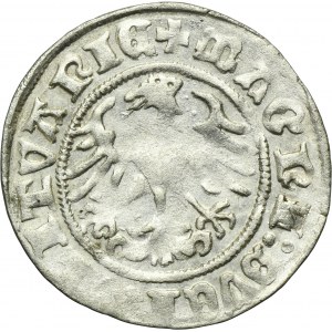 Sigismund I the Old, 1/2 Groschen Vilnius 1511