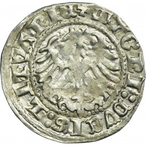 Sigismund I the Old, 1/2 Groschen Vilnius 1512