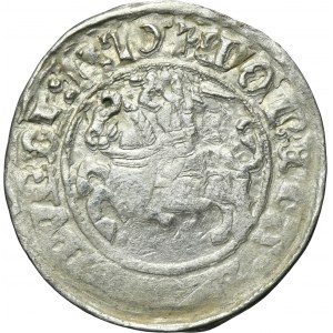 Sigismund I the Old, Halfgroat Vilnius 1510