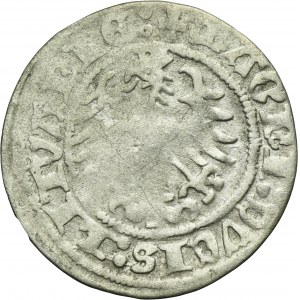 Sigismund I the Old, 1/2 Groschen Vilnius 1518 - RARE