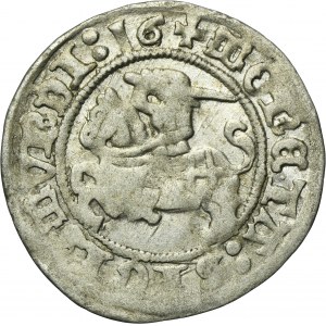 Sigismund I the Old, 1/2 Groschen Vilnius 1516 - RARE