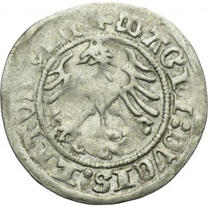 Sigismund I the Old, 1/2 Groschen Vilnius 1516 - RARE