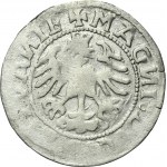 Sigismund I the Old, 1/2 Groschen Vilnius 1519 - RARE