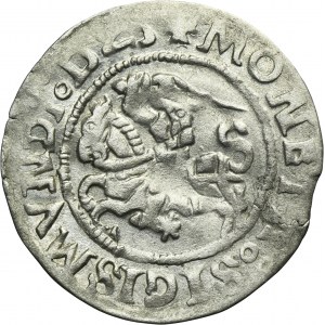 Sigismund I the Old, 1/2 Groschen Vilnius 1525 - RARE