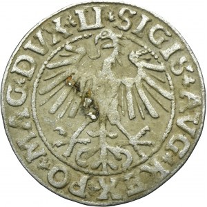 Sigismund II August, 1/2 Groschen Vilnius 1550 - LI/LITVA
