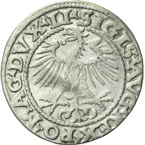 Sigismund II August, 1/2 Groschen Vilnius 1552 - RARE, LI/LITVA