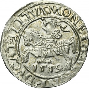 Sigismund II August, 1/2 Groschen Vilnius 1559 - L/LITVA
