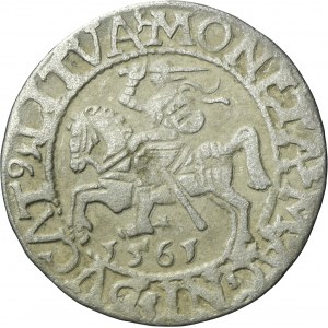 Sigismund II August, 1/2 Groschen Vilnius 1561 - L/LITVA