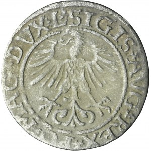 Sigismund II August, 1/2 Groschen Vilnius 1561 - L/LITVA
