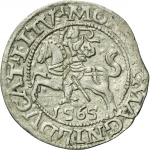 Sigismund II August, 1/2 Groschen Vilnius 1565 - L/LITV