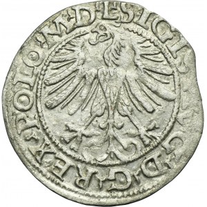 Sigismund II August, 1/2 Groschen Vilnius 1565 - L/LITV
