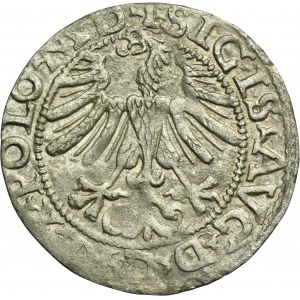 Sigismund II August, 1/2 Groschen Vilnius 1565 - L/LITV