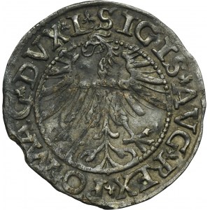 Sigismund II August, 1/2 Groschen Vilnius 1563 - L/LITV