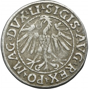 Sigismund II August, 1/2 Groschen Vilnius 1547 - LI/LITVA