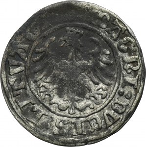 Sigismund the Old, 1/2 Groschen Vilnius 1509 - RARE
