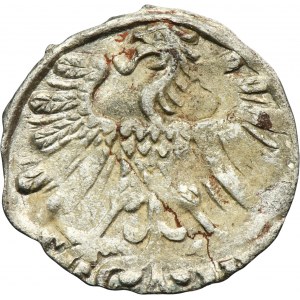 Sigismund II August, Denarius Vilnius 1558