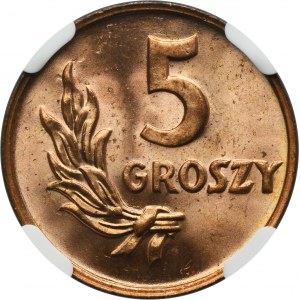 5 groszy 1949 - NGC MS65 RD
