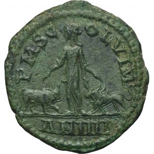 Roman Provincial, Moesia Superior, Viminacium, Gordian III, AE