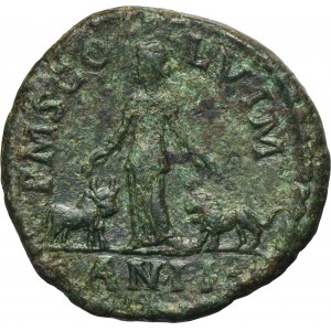 Roman Provincial, Moesia Superior, Viminacium, Gordian III, AE