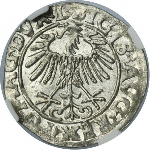 Sigismund II August, 1/2 Groschen 1556 - L/LITV - NGC MS64 - RARE
