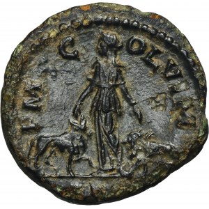 Roman Provincial, Moesia Superior, Viminacium, Gordian III, AE