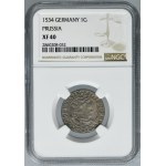 Sigismund I the Old, Groschen Thorn 1534 - PRVSSIE/PRVSSIE - NGC XF40