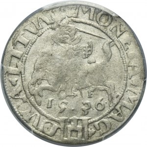 Sigismund I the Old, Groschen Vilnius 1536 - LITVAN/LITVA, letter F - February - RARE - PCGS VF30